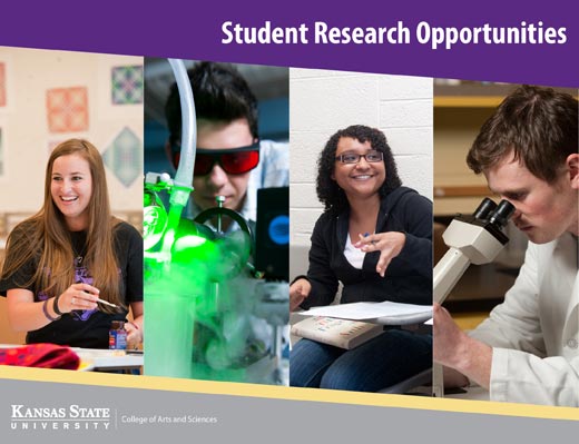 Undergraduate Research Opportunities in the College of Arts and Sciences