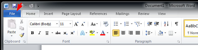 Image pointing out the File tab on the Word 2010 menubar
