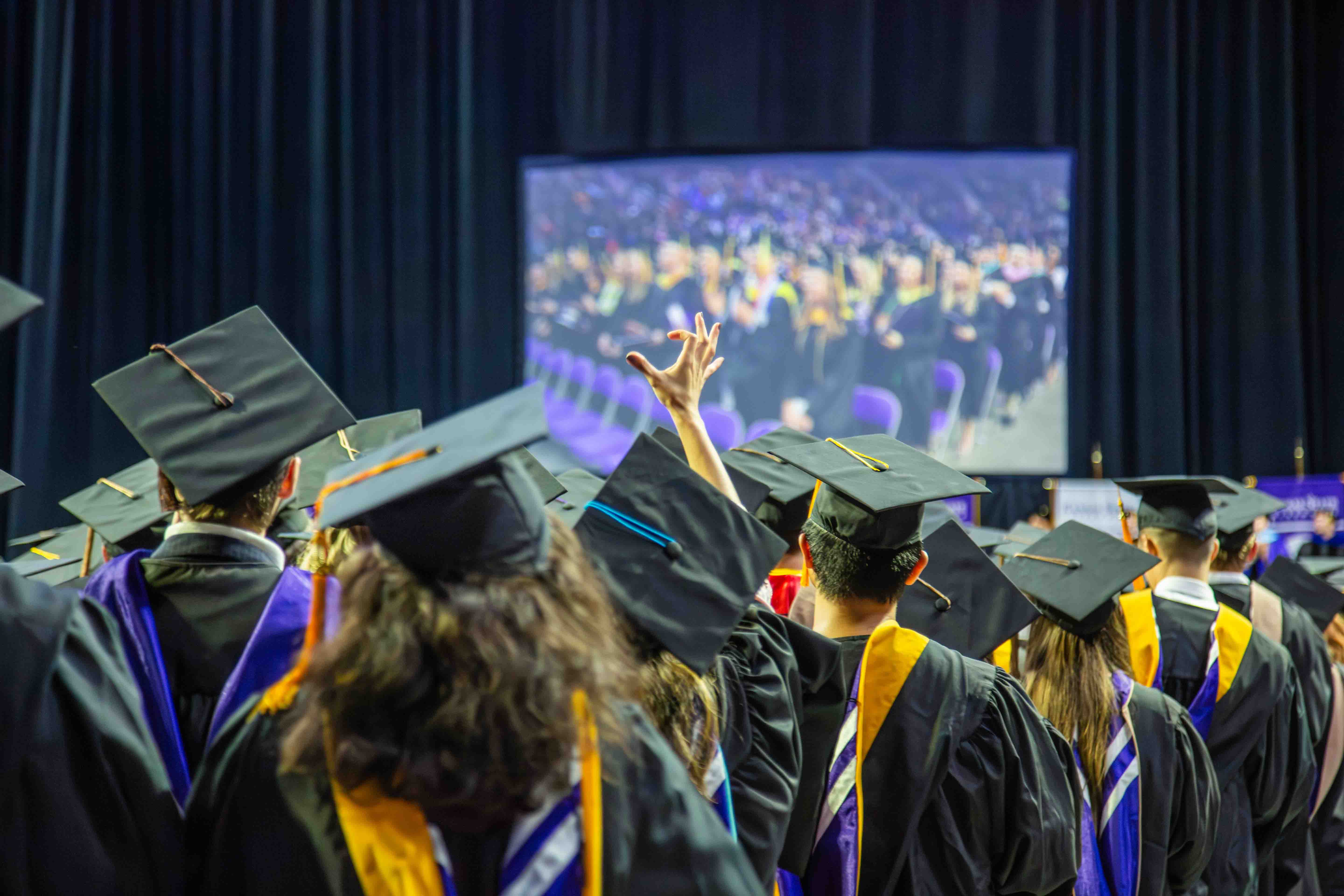 Wildcat hand in crowd at commencement
