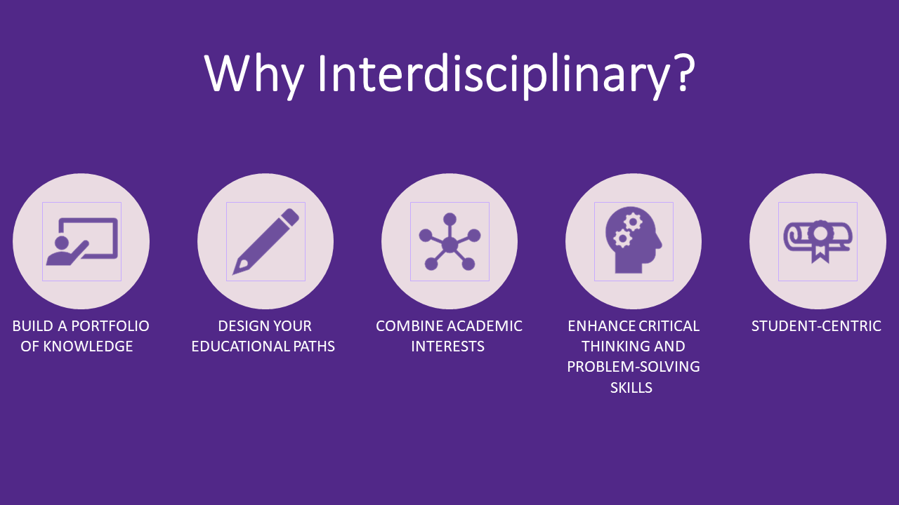 Why Interdisciplinary