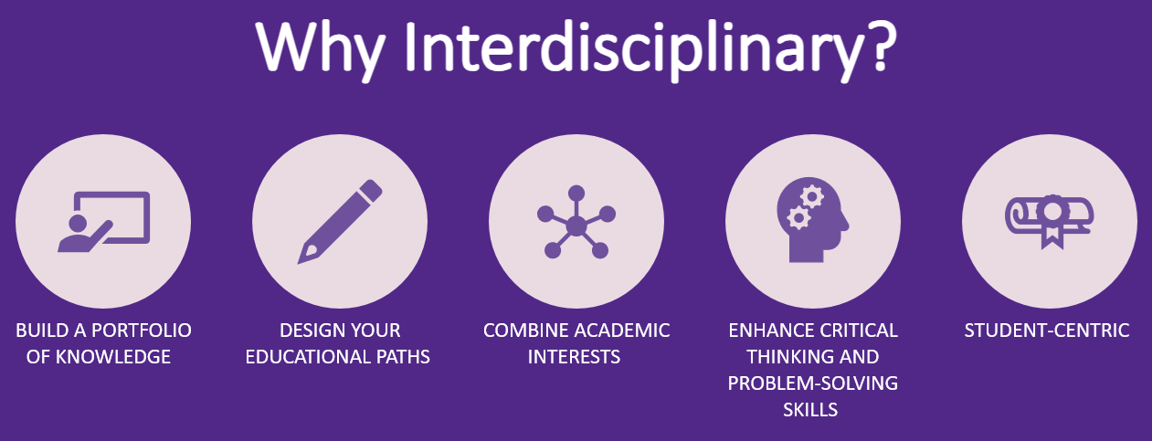 Why Interdisciplinary