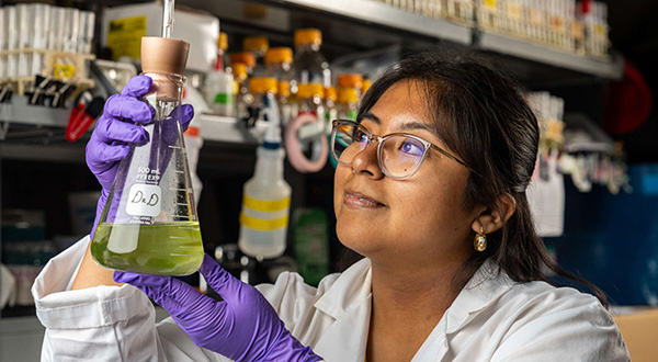 Lidia looks at triangle flask in microbiology lab
