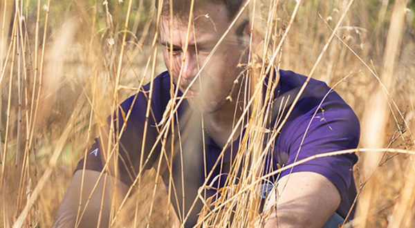 Sam crouched in tallgrass